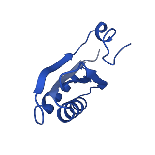 9308_6mzv_GD_v1-3
Cryo-EM structure of the HO BMC shell: BMC-TD focused structure, widened inner ring