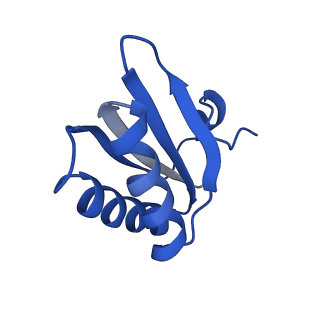 9308_6mzv_GE_v1-3
Cryo-EM structure of the HO BMC shell: BMC-TD focused structure, widened inner ring