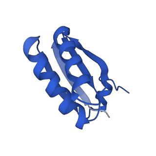 9308_6mzv_GF_v1-2
Cryo-EM structure of the HO BMC shell: BMC-TD focused structure, widened inner ring