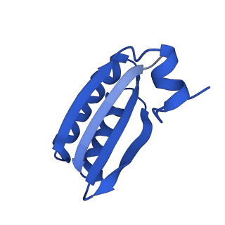 9308_6mzv_HB_v1-2
Cryo-EM structure of the HO BMC shell: BMC-TD focused structure, widened inner ring