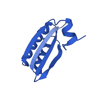 9308_6mzv_HB_v1-3
Cryo-EM structure of the HO BMC shell: BMC-TD focused structure, widened inner ring