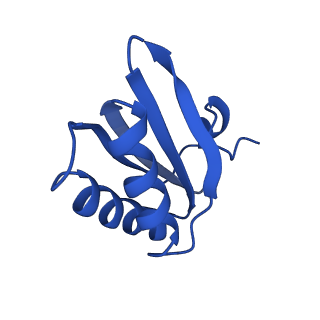 9308_6mzv_HD_v1-3
Cryo-EM structure of the HO BMC shell: BMC-TD focused structure, widened inner ring