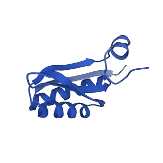 9308_6mzv_IB_v1-3
Cryo-EM structure of the HO BMC shell: BMC-TD focused structure, widened inner ring