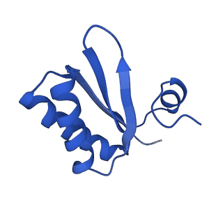 9308_6mzv_IC_v1-3
Cryo-EM structure of the HO BMC shell: BMC-TD focused structure, widened inner ring