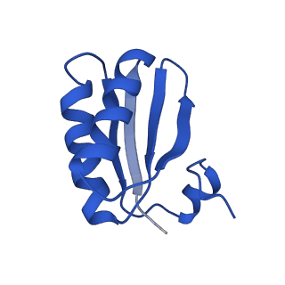 9308_6mzv_ID_v1-3
Cryo-EM structure of the HO BMC shell: BMC-TD focused structure, widened inner ring