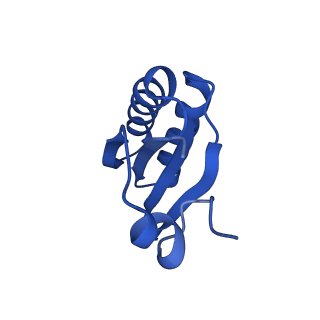 9308_6mzv_IF_v1-2
Cryo-EM structure of the HO BMC shell: BMC-TD focused structure, widened inner ring