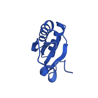 9308_6mzv_IF_v1-3
Cryo-EM structure of the HO BMC shell: BMC-TD focused structure, widened inner ring