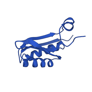 9308_6mzv_JA_v1-3
Cryo-EM structure of the HO BMC shell: BMC-TD focused structure, widened inner ring