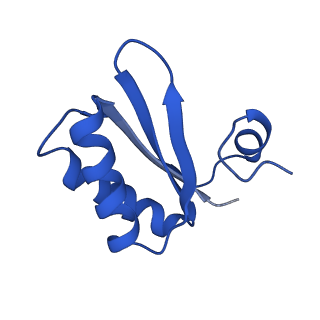 9308_6mzv_JB_v1-3
Cryo-EM structure of the HO BMC shell: BMC-TD focused structure, widened inner ring