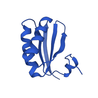 9308_6mzv_JC_v1-3
Cryo-EM structure of the HO BMC shell: BMC-TD focused structure, widened inner ring