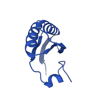 9308_6mzv_JD_v1-3
Cryo-EM structure of the HO BMC shell: BMC-TD focused structure, widened inner ring