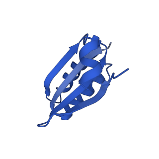 9308_6mzv_JF_v1-3
Cryo-EM structure of the HO BMC shell: BMC-TD focused structure, widened inner ring