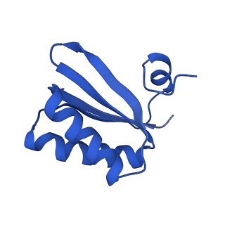 9308_6mzv_KA_v1-3
Cryo-EM structure of the HO BMC shell: BMC-TD focused structure, widened inner ring