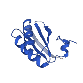 9308_6mzv_KB_v1-2
Cryo-EM structure of the HO BMC shell: BMC-TD focused structure, widened inner ring