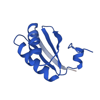 9308_6mzv_KB_v1-3
Cryo-EM structure of the HO BMC shell: BMC-TD focused structure, widened inner ring