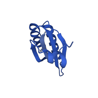 9308_6mzv_KD_v1-3
Cryo-EM structure of the HO BMC shell: BMC-TD focused structure, widened inner ring