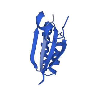 9308_6mzv_KE_v1-3
Cryo-EM structure of the HO BMC shell: BMC-TD focused structure, widened inner ring