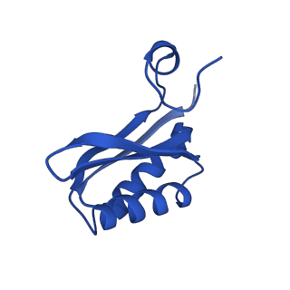 9308_6mzv_KF_v1-3
Cryo-EM structure of the HO BMC shell: BMC-TD focused structure, widened inner ring