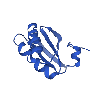 9308_6mzv_LA_v1-3
Cryo-EM structure of the HO BMC shell: BMC-TD focused structure, widened inner ring