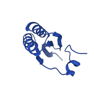 9308_6mzv_LB_v1-3
Cryo-EM structure of the HO BMC shell: BMC-TD focused structure, widened inner ring