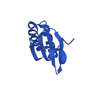 9308_6mzv_LC_v1-2
Cryo-EM structure of the HO BMC shell: BMC-TD focused structure, widened inner ring