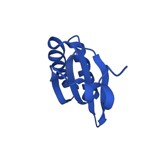 9308_6mzv_LC_v1-3
Cryo-EM structure of the HO BMC shell: BMC-TD focused structure, widened inner ring