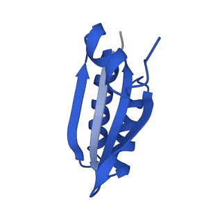 9308_6mzv_LD_v1-2
Cryo-EM structure of the HO BMC shell: BMC-TD focused structure, widened inner ring