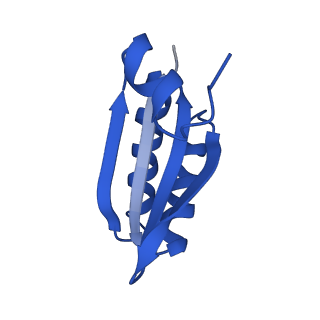 9308_6mzv_LD_v1-3
Cryo-EM structure of the HO BMC shell: BMC-TD focused structure, widened inner ring