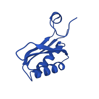 9308_6mzv_LE_v1-3
Cryo-EM structure of the HO BMC shell: BMC-TD focused structure, widened inner ring