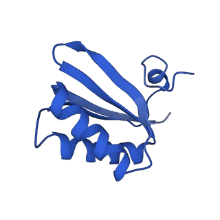 9308_6mzv_LF_v1-3
Cryo-EM structure of the HO BMC shell: BMC-TD focused structure, widened inner ring