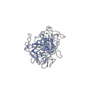 24102_7n0b_B_v1-3
Cryo-EM structure of SARS-CoV-2 nsp10-nsp14 (WT)-RNA complex