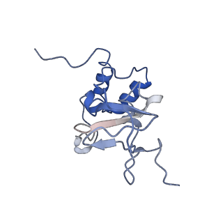 24103_7n0c_A_v1-3
Cryo-EM structure of the monomeric form of SARS-CoV-2 nsp10-nsp14 (E191A)-RNA complex