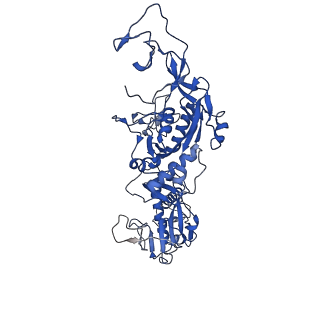24104_7n0d_B_v1-3
Cryo-EM structure of the tetrameric form of SARS-CoV-2 nsp10-nsp14 (E191A)-RNA complex