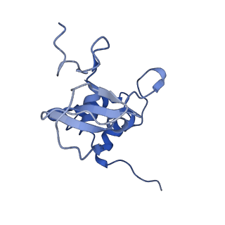 24104_7n0d_C_v1-3
Cryo-EM structure of the tetrameric form of SARS-CoV-2 nsp10-nsp14 (E191A)-RNA complex