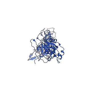24104_7n0d_D_v1-3
Cryo-EM structure of the tetrameric form of SARS-CoV-2 nsp10-nsp14 (E191A)-RNA complex