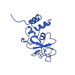 24104_7n0d_E_v1-3
Cryo-EM structure of the tetrameric form of SARS-CoV-2 nsp10-nsp14 (E191A)-RNA complex