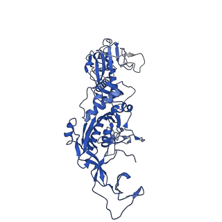 24104_7n0d_F_v1-3
Cryo-EM structure of the tetrameric form of SARS-CoV-2 nsp10-nsp14 (E191A)-RNA complex