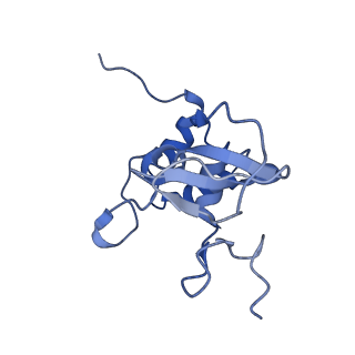 24104_7n0d_G_v1-3
Cryo-EM structure of the tetrameric form of SARS-CoV-2 nsp10-nsp14 (E191A)-RNA complex