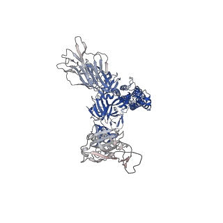 24105_7n0g_A_v1-2
CryoEm structure of SARS-CoV-2 spike protein (S-6P, 1-up) in complex with sybodies (Sb45)