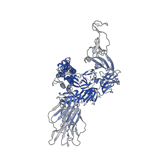 24105_7n0g_B_v1-2
CryoEm structure of SARS-CoV-2 spike protein (S-6P, 1-up) in complex with sybodies (Sb45)