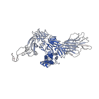 24105_7n0g_C_v1-2
CryoEm structure of SARS-CoV-2 spike protein (S-6P, 1-up) in complex with sybodies (Sb45)