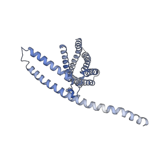 24107_7n0k_A_v1-0
Cryo-EM structure of TACAN in the apo form (TMEM120A)