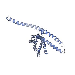 24107_7n0k_B_v1-0
Cryo-EM structure of TACAN in the apo form (TMEM120A)