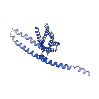 24108_7n0l_A_v1-0
Cryo-EM structure of TACAN in the H196A H197A mutant form (TMEM120A)