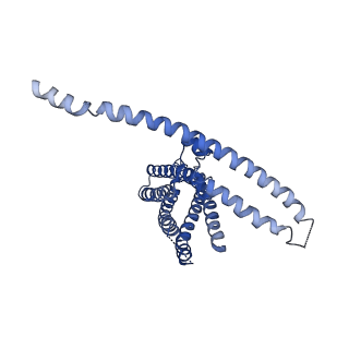 24108_7n0l_B_v1-0
Cryo-EM structure of TACAN in the H196A H197A mutant form (TMEM120A)