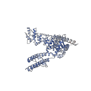 24110_7n0n_C_v1-2
Activated state of 2-APB-bound wildtype rat TRPV2 in nanodiscs