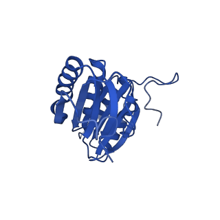 9311_6n06_A_v1-2
Cryo-EM structure of the HO BMC shell: BMC-T1 in the assembled shell