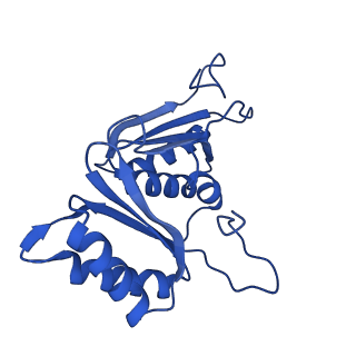 9311_6n06_B_v1-2
Cryo-EM structure of the HO BMC shell: BMC-T1 in the assembled shell