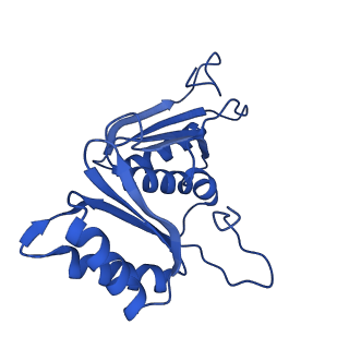 9311_6n06_B_v1-3
Cryo-EM structure of the HO BMC shell: BMC-T1 in the assembled shell