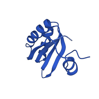 9311_6n06_GB_v1-3
Cryo-EM structure of the HO BMC shell: BMC-T1 in the assembled shell